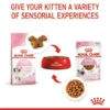Royal Canin Kitten (4kg) Dry Cat Food  - Feline Health Nutrition