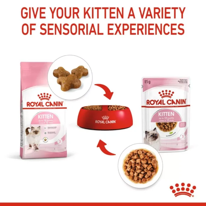 Royal Canin Kitten (4kg) Dry Cat Food  - Feline Health Nutrition