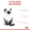 Royal Canin Kitten (4kg) Dry Cat Food  - Feline Health Nutrition