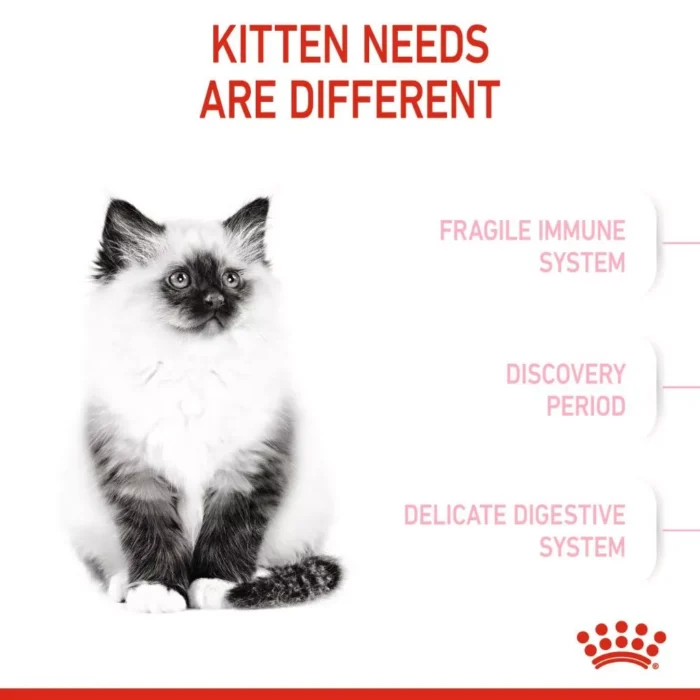 Royal Canin Kitten (4kg) Dry Cat Food  - Feline Health Nutrition