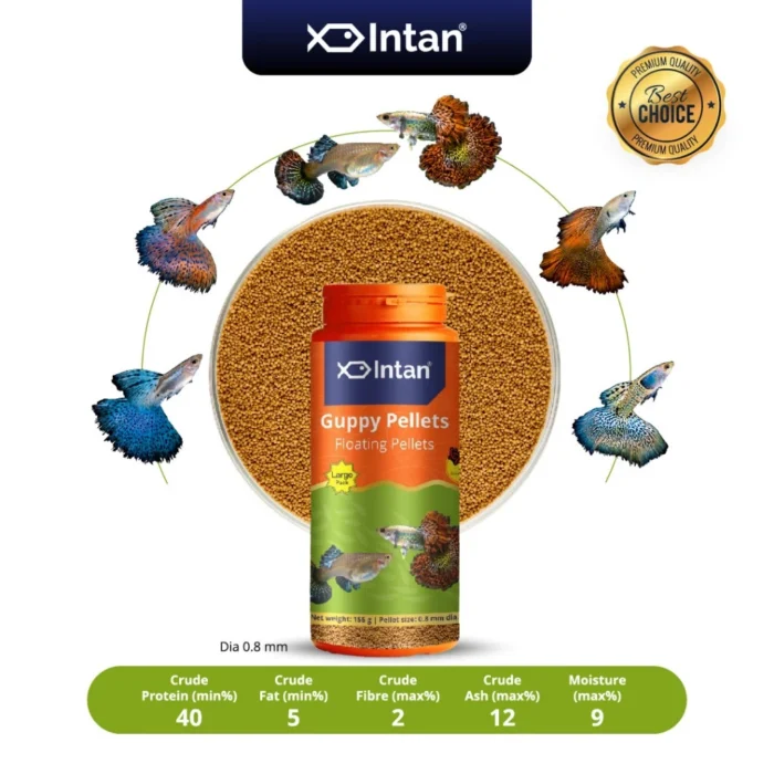 Intan Fish Food - Guppy Pellets 🐠 Player Choice For Fish Like Guppies & Small Surface Eating Fish 155g